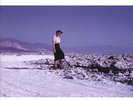 Pinback Blue Screen Life LP vinyl record sealed modest mouse death cab for cutie