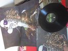 BEGGARS OPERA : PATHFINDER MIT RIESENPOSTER / VERTIGO 6360073