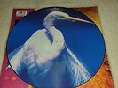 Faith No More - A Small Victory Angel Dust Picture Disc Record Vinyl Mike Patton