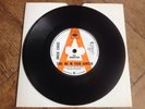 *DEMO* DRUID CHASE TAKE ME IN YOUR GARDEN UK 1967 CBS SUPER RARE PSYCH 45