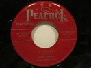 TEMPO TOPPERS 45 on Peacock VG++ & VG++.with Little Richard