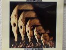 SAM RIVERS - The Quest   STILL SEALED  Pausa LP