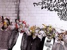Gorilla Manor - 2 DISC SET - Local Natives (2010, Vinyl NEW)