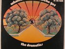 Dramatics - Whatcha See Is Whatcha Get LP - Volt