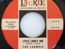 NM- DOO WOP 45 / THE JARMELS / LITTLE LONELY ONE / SHE LOVES TO DANCE / LAURIE