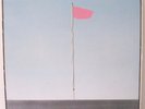 Wire-Pink Flag-Rare Original 1977 U.K. Harvest Post Punk LP-N.Mint W/Lyric Inner