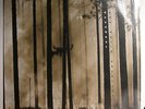 DoLP DEADBEAT - New World Observer  2005