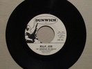 SHADOWS OF KNIGHT Willie Jean / The Behemoth 1967 PSYCH / GARAGE 45 DUNWICH