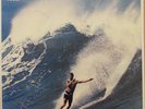 VA - Battle Of The Surf Guitars Vol 2 -Surfville EEC LP Surf compilation