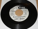 LARRY BRIGHT 45 bloodhound WAY DOWN HOME promo TIDE wlp