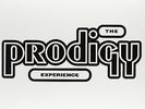 THE PRODIGY Experience 2 x Vinyl LP 2008 (12 Tracks) NEW & SEALED