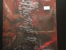 Coheed And Cambria The Running Free 7