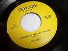 THE DELLS (AKA RAYS) ON SKYLARK NOW I PRAY / SOMEONE TO CALL ME DARLING 45 EX-NM