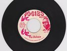 PETER TOSH - BLACK DIGNITY - JOGIBS PRE ( VERY RARE ROOTS 45 )