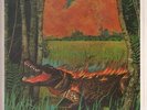 The Neville Brothers Fiyo On The Bayou NEAR MINT A&M Vinyl LP
