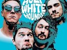 Holy White Hounds-Sparkle Sparkle (Lp)  VINYL LP NEW