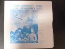 LED ZEPPELIN LIVE ON BLUEBERRY HILL 2LP NM 