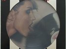 Blondie - Parallel Lines Picture Disc USA 1978 Chrysalis CHP 5001
