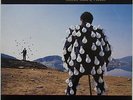 Pink Floyd - Delicate Sound Of Thunder 2xLP  1988  EMI 198-7 91480 1