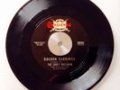 THE SADLY MISTAKEN - GOLDEN EARRINGS - CHALLENGE - NORTHERN SOUL