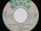 Reggae 45 BADDOO Rockin of the Ten Thousand AFRO EAGLE HEAR