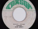 Reggae 45 BOB ANDY Going Home COXSON HEAR