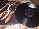 BAD RELIGION LP Lot.GENERATOR&The Dissent Of Man&Bonus*Picsdisc-Seeing Eye Gods