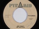 Reggae 45 MAYTALS Bim Today PYRAMID uk HEAR