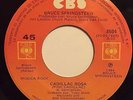 MEXICO BRUCE SPRINGSTEEN NM BAILANDO EN LA OSCURIDAD CADILLAC ROSA 7