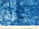 CARLO SAVINA & FABOR - EXQUISITE EDDA DELL'ORSO SCAT LOUNGE & SOFT JAZZ Library