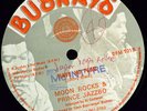REGGAE - MOON ROCKS & PRINCE JAZZBO Unite Jah People / Have No Fear UK BUSHAYS