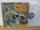 SAVOY BROWN LOOKING IN 1970 MINT UK DECCA LP ARCHIV COPY