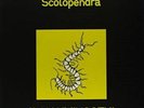 Scolopendra - Alluminogeni - LP  SIGILLATO