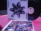 LP, Vinegar, Same - MINT Amber Soundroom