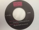 THE OUTCASTS Loving You Sometimes '7 VERY RARE RE '68 PSYCH SOUL BEAT ROCK FUZZ
