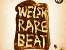 WELSH RARE BEAT-'70s freaked-out prog rock funky-new LP