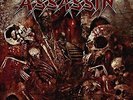 ASSASSIN-COMBAT CATHEDRAL (LP+CD)  VINYL NEW