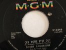 DOTTIE CAMBRIDGE - CRY YOUR EYES OUT - PERFECT BOY