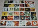 PEARL JAM No Code RARE ORIG 1996 LP – 9 PIX, 2 INNERS, STICKERS – ALL NEAR MINT.