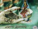 Spirits Burning - Found In Nature                                      (MMP 465)