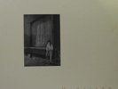 TISH HINOJOSA Homeland LP