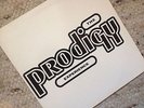 The Prodigy - Experience (2xLP, Gatefold Album)