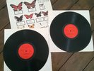 Rare The Jam Butterfly Collector Live Double Album American Pressing in Sleeve