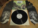 Dr.Strangely Strange   Heavy Petting Orginal LP1970