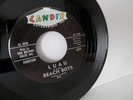 EX The Beach Boys - Surfin' b/w Luau PROMO Candix Records 301 1st Beach boys 45