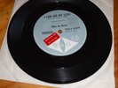 promo I can see my Love / More Than I can say The In-sect W&G 45 7