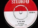 STUDIO 1 | GAYLADS - IF YOU KNEW | 1967