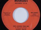 Funk/Deep Soul 45 SANDY GAYE He's Good For Me MOONSHOT HEAR