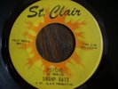 RARE GARAGE / PSYCH  THE SWAMP RATS  psycho  ST. CLAIR   NICE & GREAT