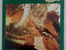 BILLY NICHOLLS Would You Believe MINT numbered vinyl LP Tenth Planet psych